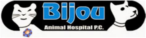 Bijou animal hospital - Bijou Animal Hospital ·